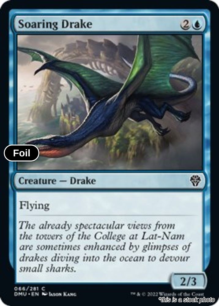 Soaring Drake