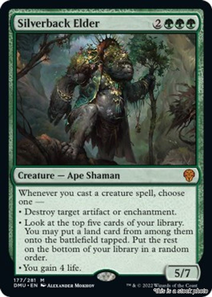 Silverback Elder