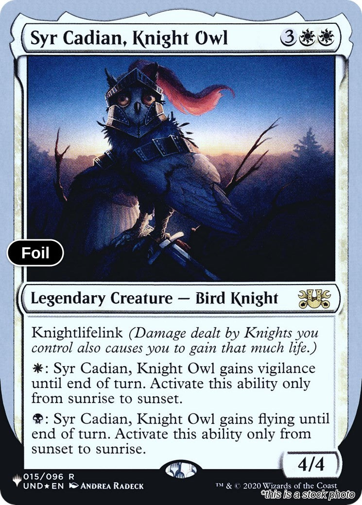 Syr Cadian, Knight Owl