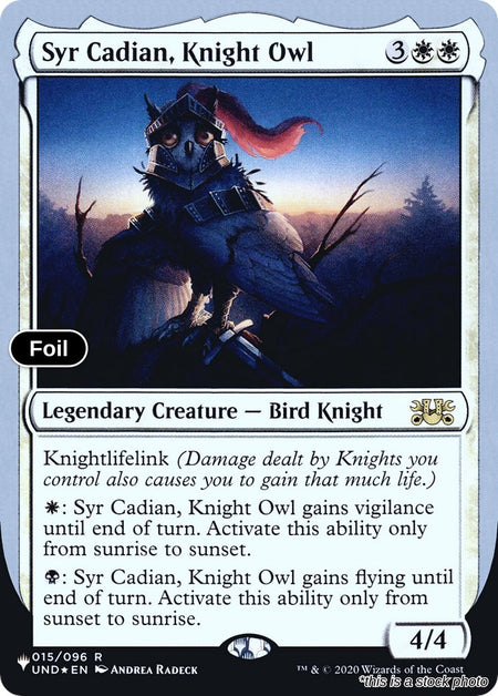Syr Cadian, Knight Owl