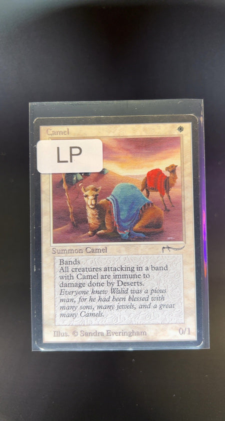 Camel