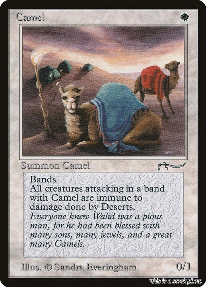 Camel