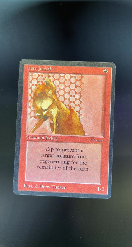 Hurr Jackal