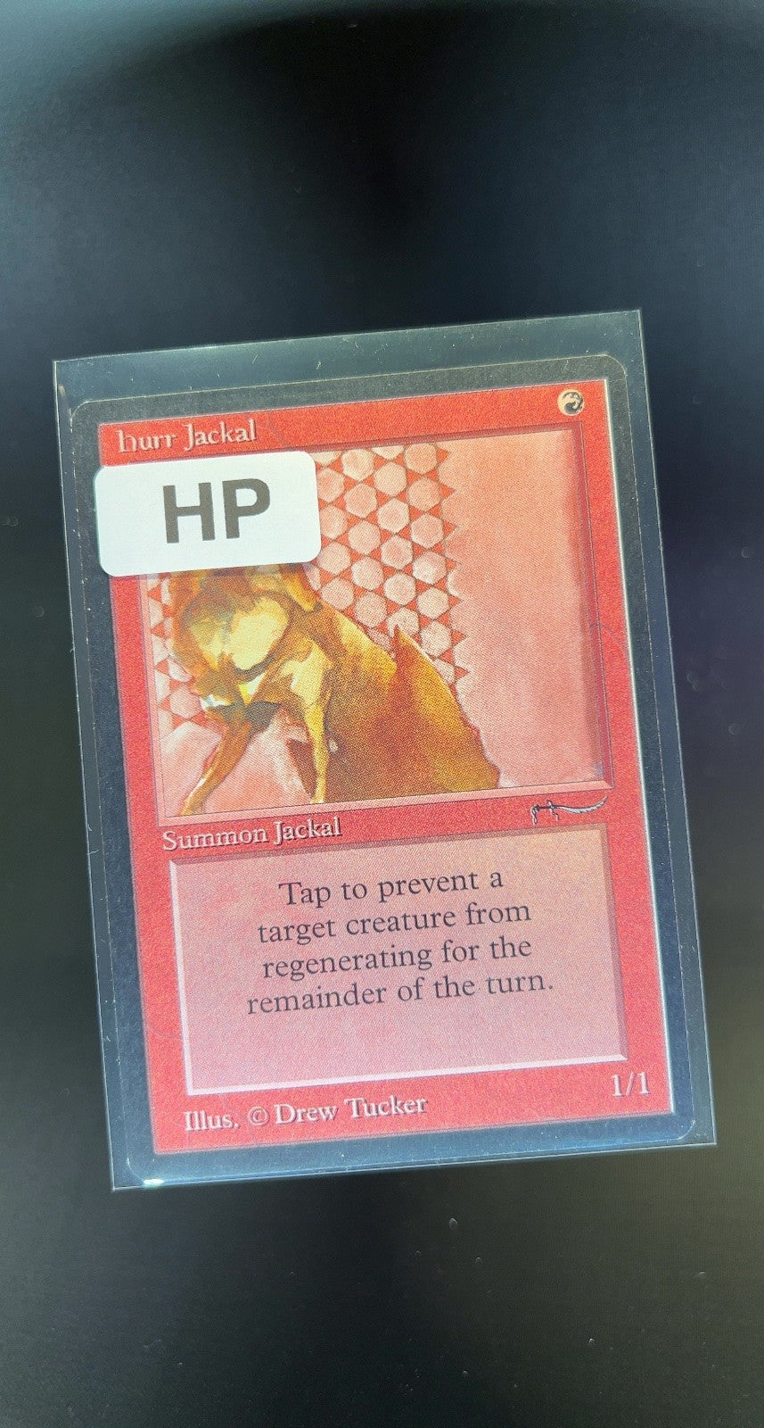 Hurr Jackal