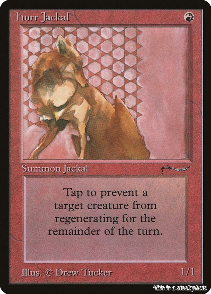 Hurr Jackal