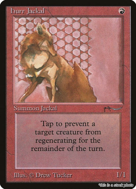 Hurr Jackal