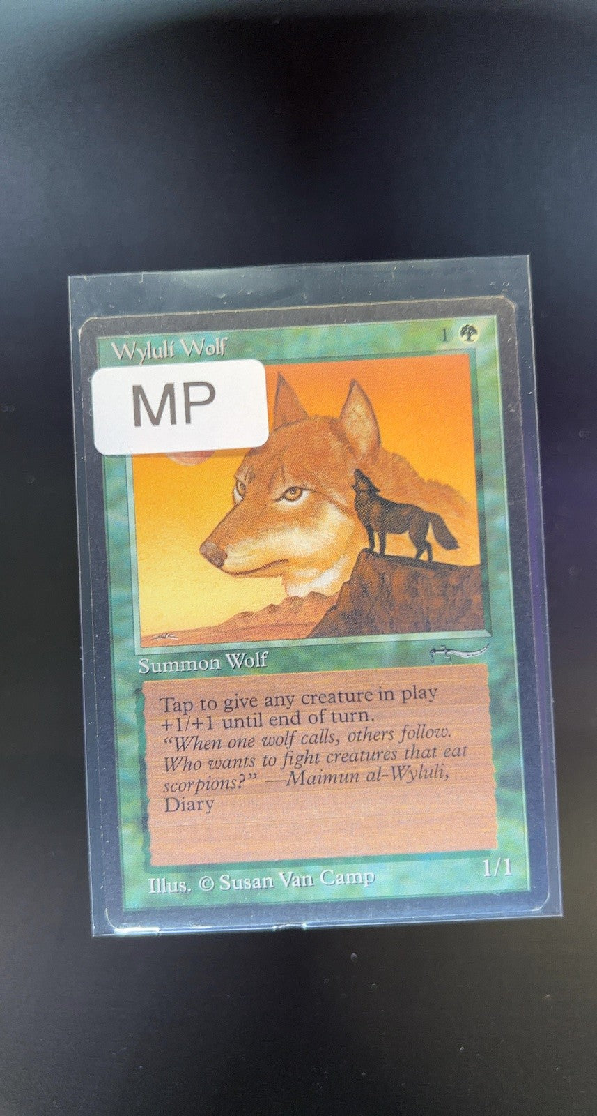 Wyluli Wolf