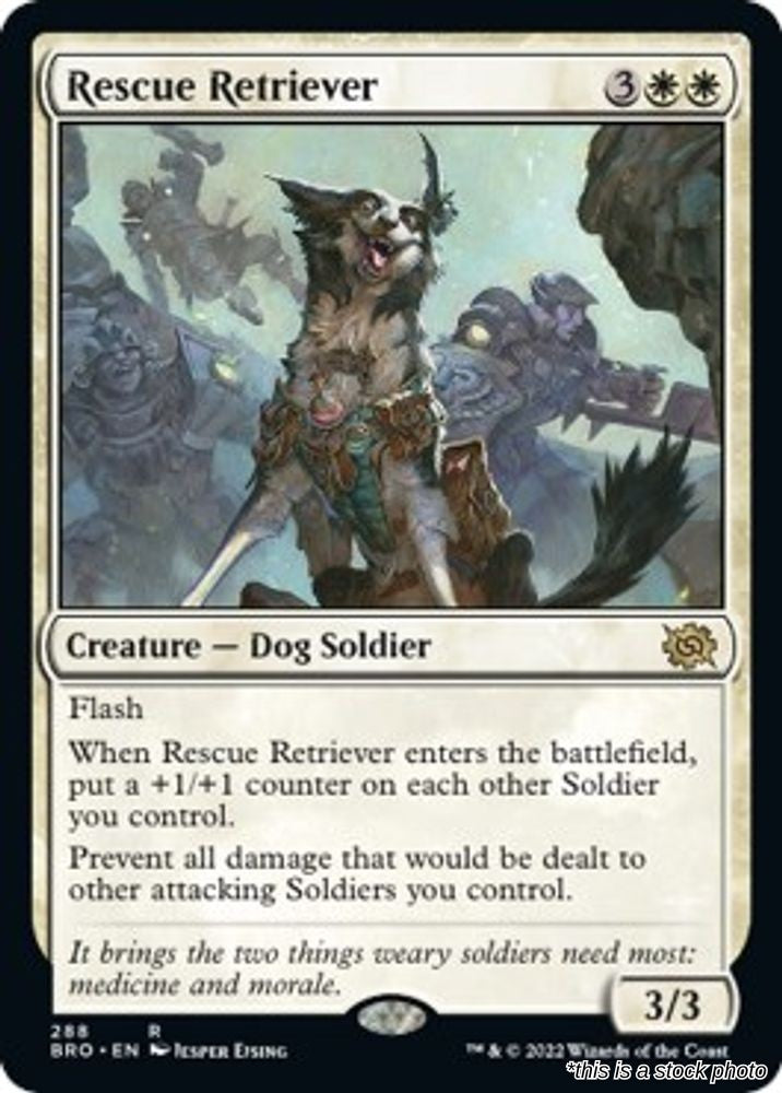 Rescue Retriever