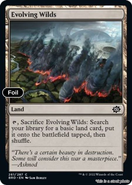 Evolving Wilds