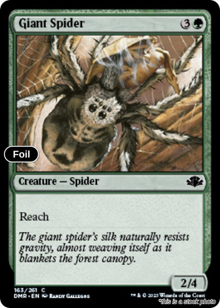 Giant Spider