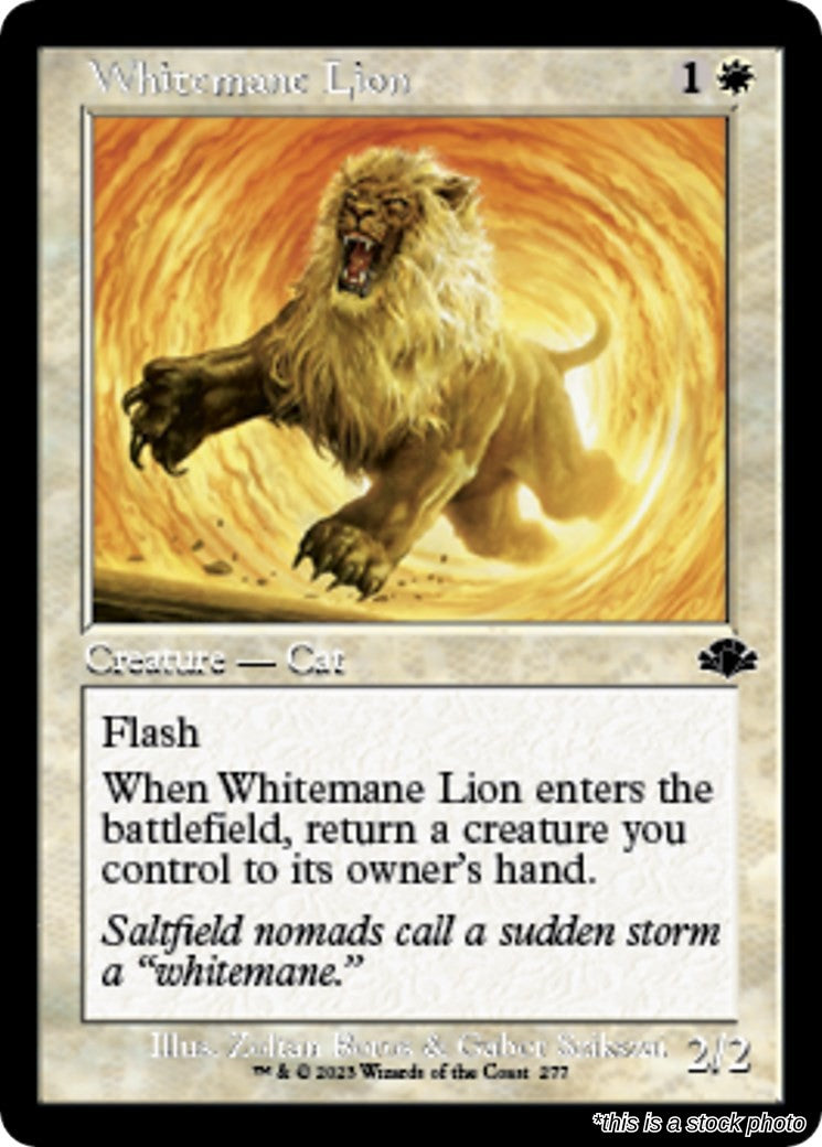 Whitemane Lion (Retro Frame)