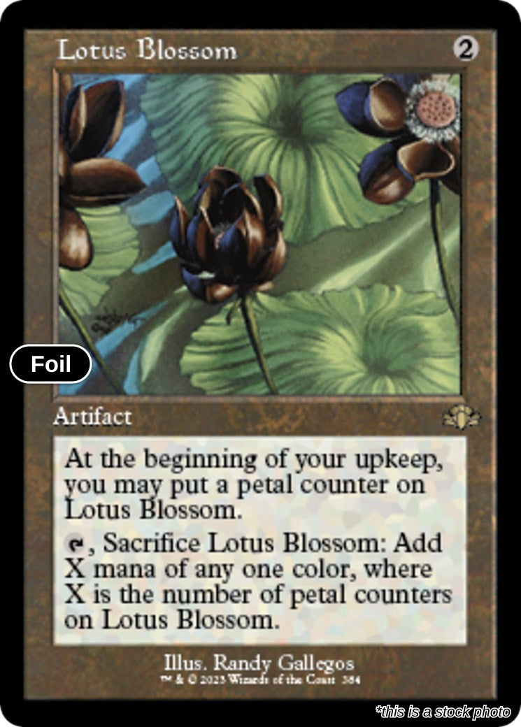 Lotus Blossom (Retro Frame)
