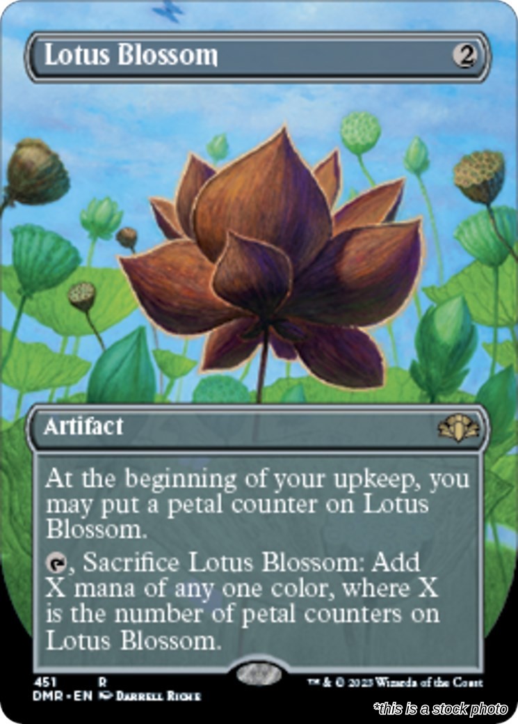 Lotus Blossom (Borderless)