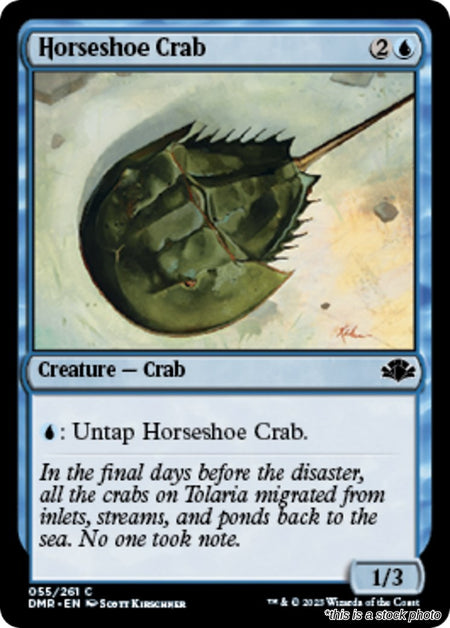 Horseshoe Crab