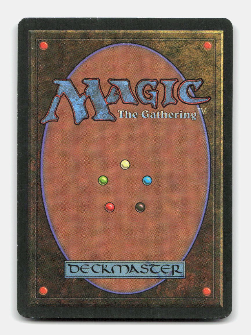 Chub Toad (Back)