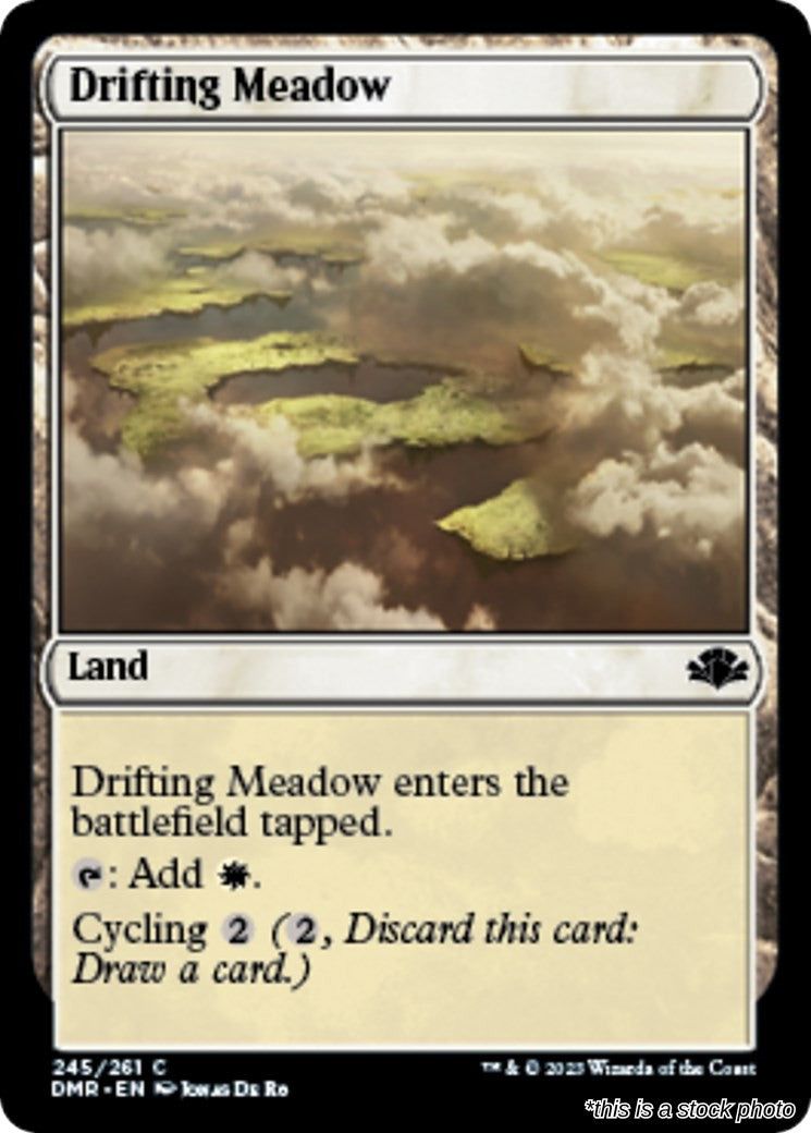 Drifting Meadow