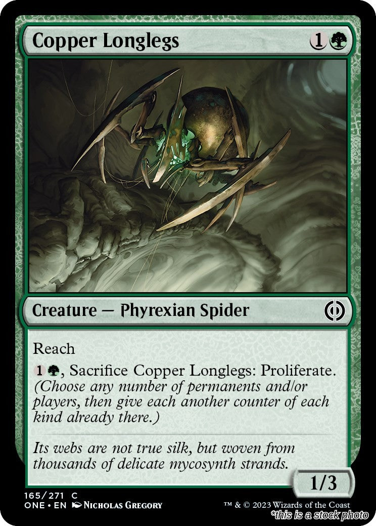 Copper Longlegs