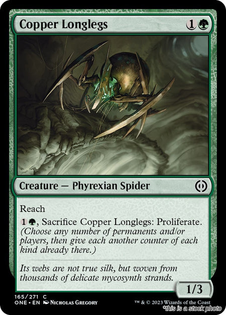 Copper Longlegs