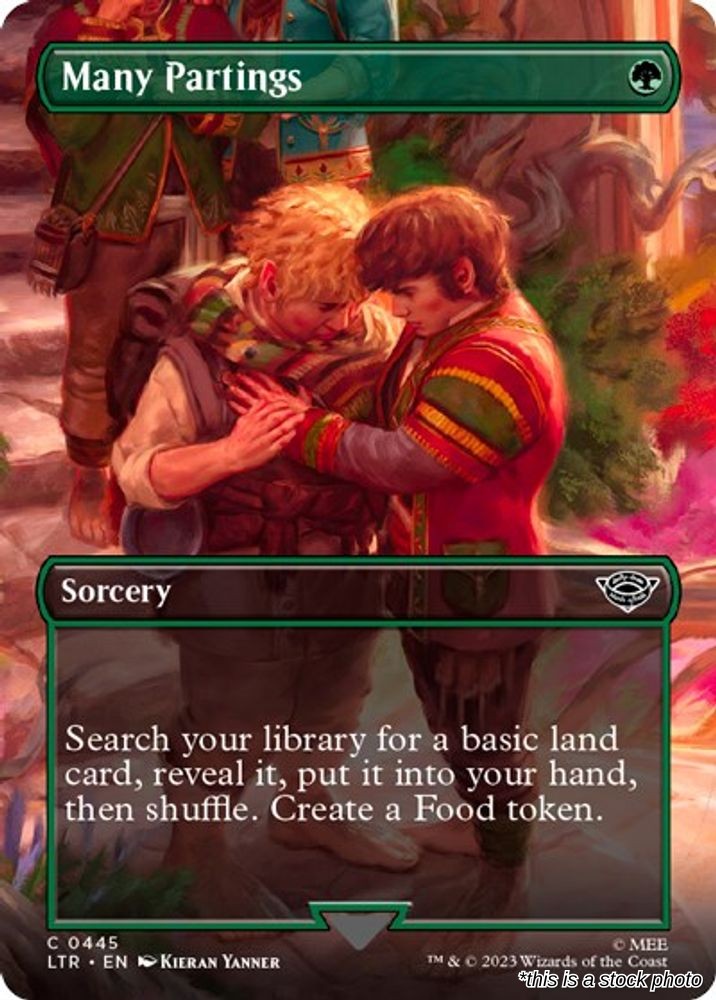 Many Partings (Borderless)