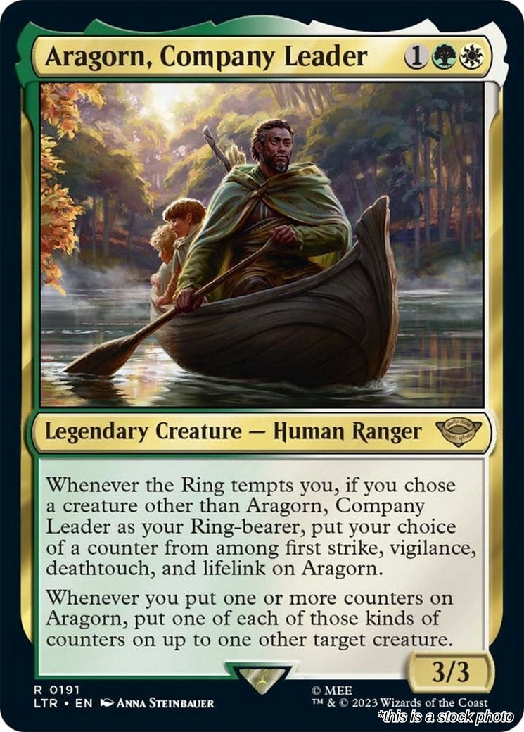 Aragorn, Company Leader