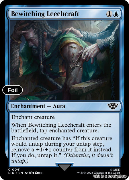Bewitching Leechcraft