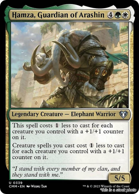 Hamza, Guardian of Arashin