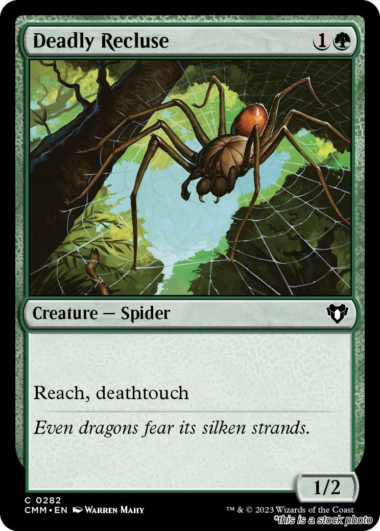 Deadly Recluse