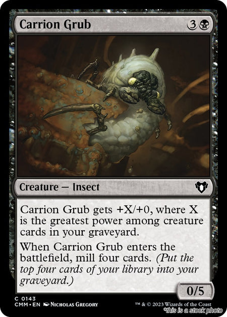 Carrion Grub