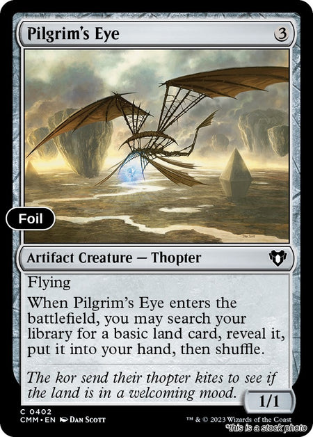 Pilgrim's Eye