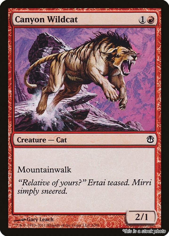 Canyon Wildcat
