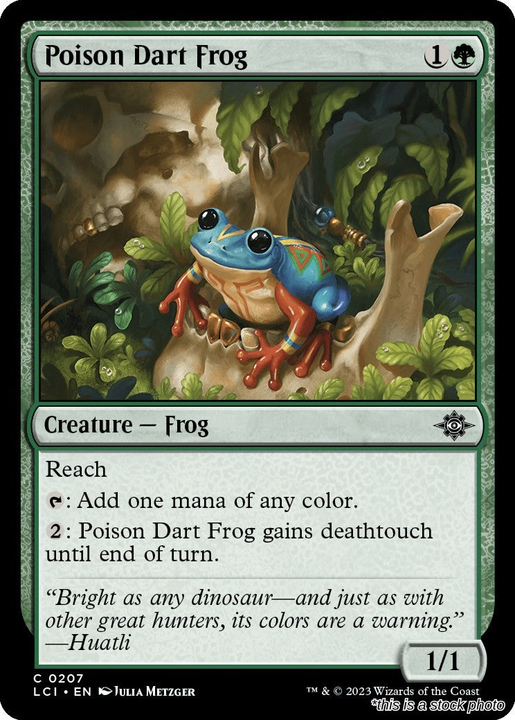 Poison Dart Frog