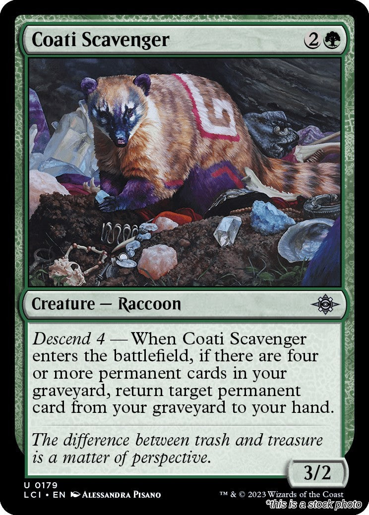 Coati Scavenger