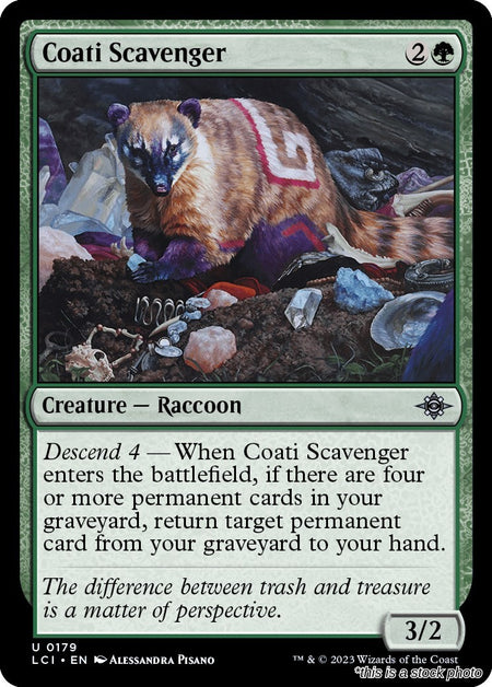 Coati Scavenger