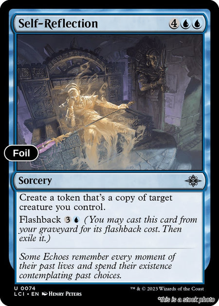 Self-Reflection