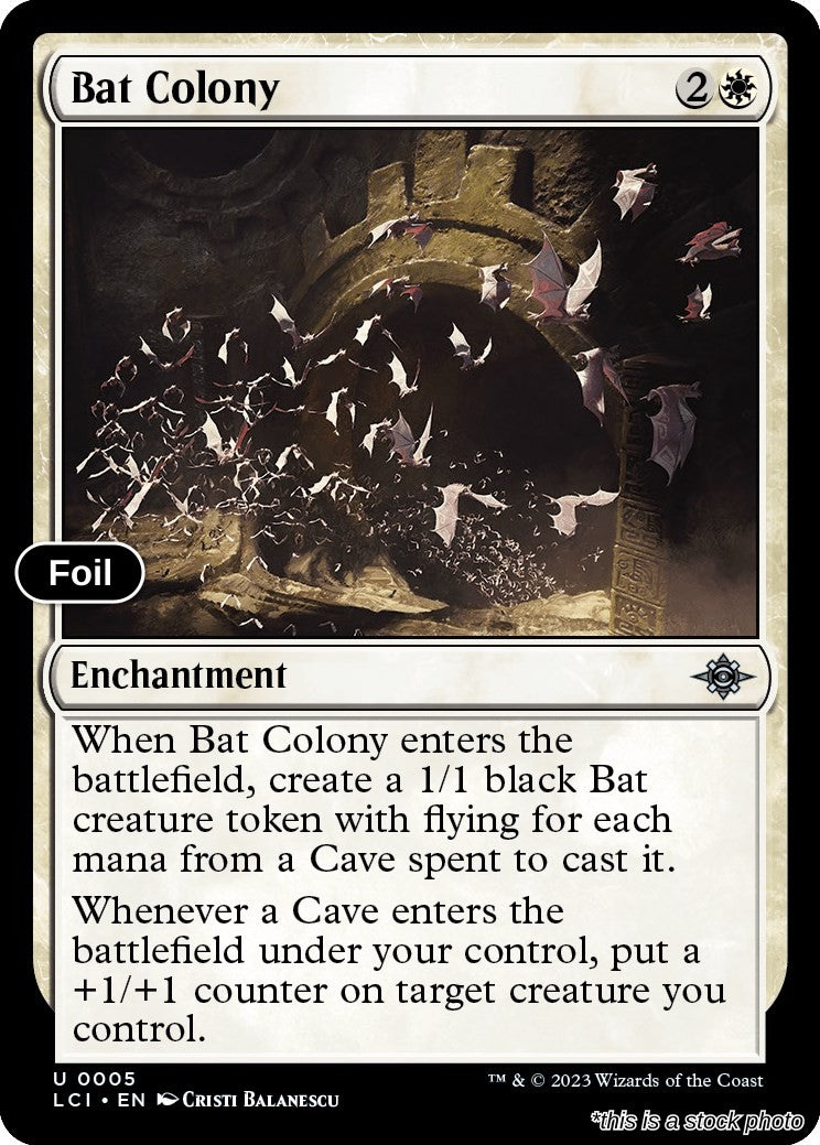 Bat Colony