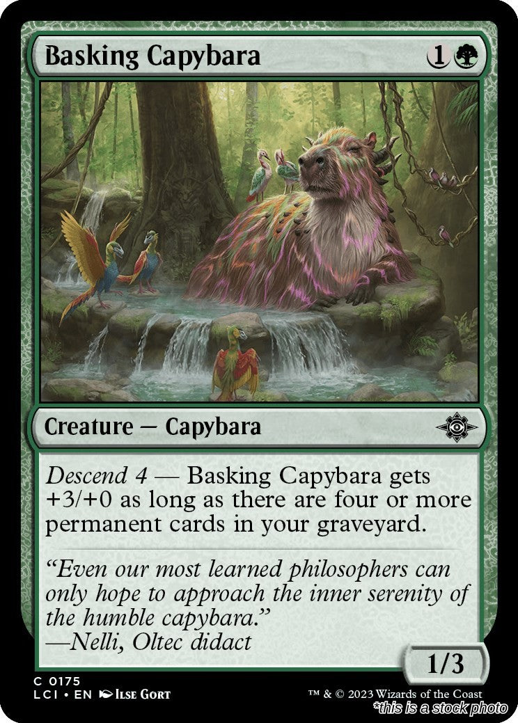 Basking Capybara