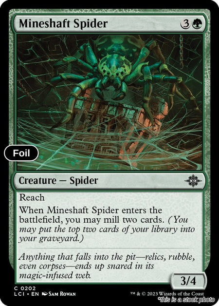 Mineshaft Spider