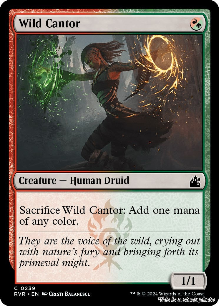 Wild Cantor