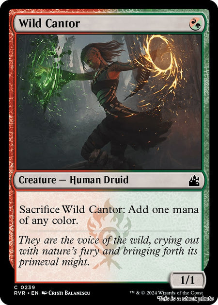 Wild Cantor
