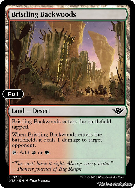 Bristling Backwoods