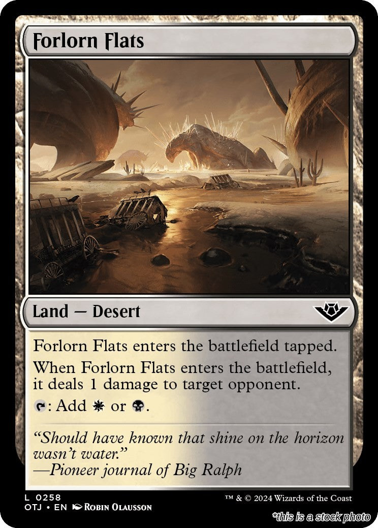 Forlorn Flats