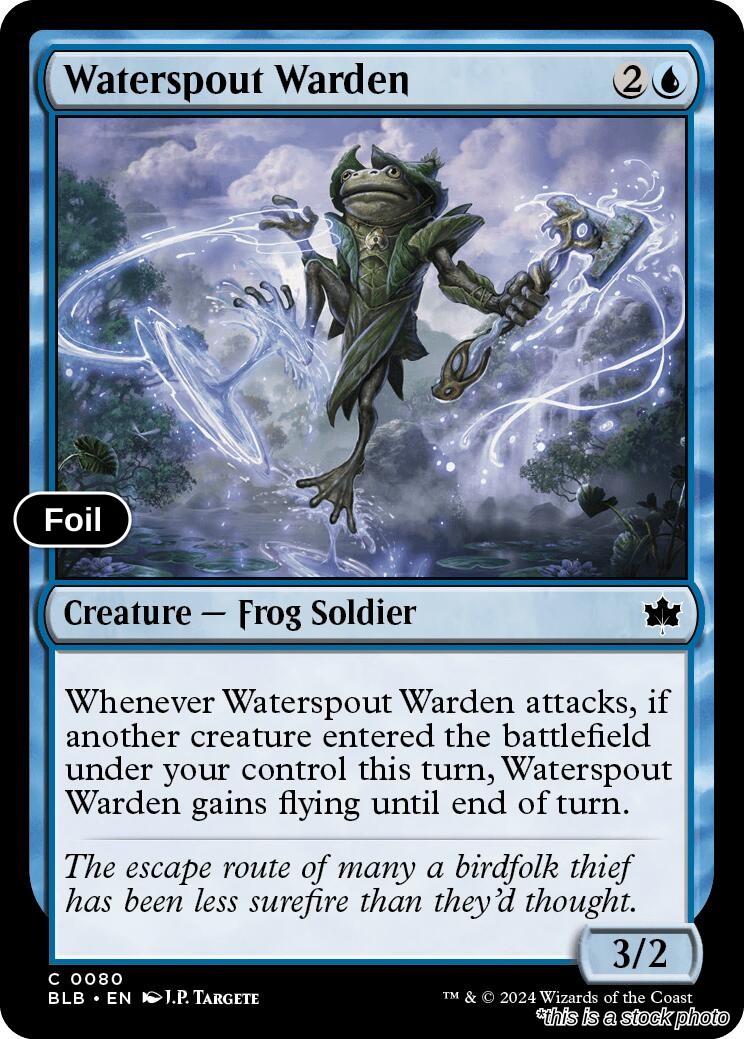 Waterspout Warden