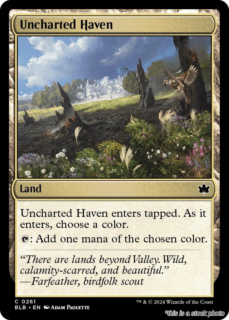 Uncharted Haven