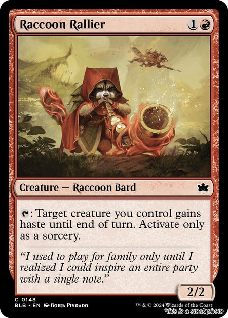 Raccoon Rallier