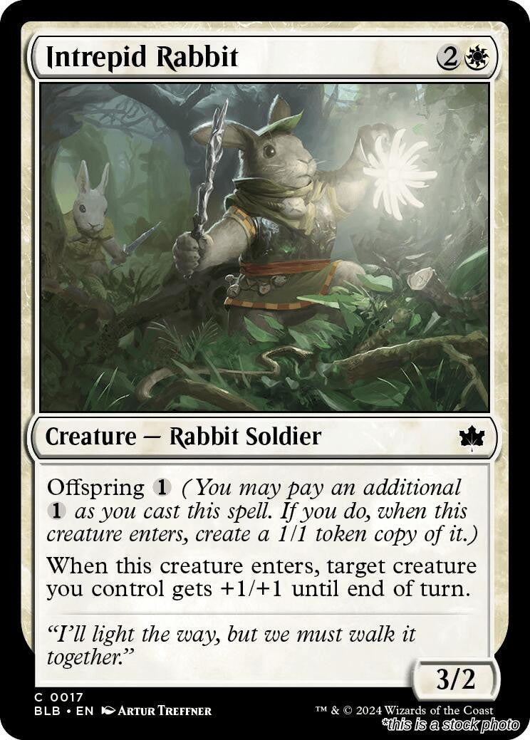Intrepid Rabbit