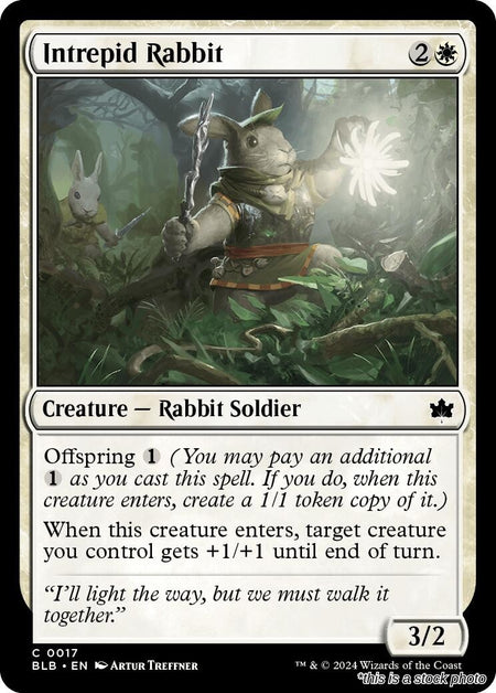 Intrepid Rabbit