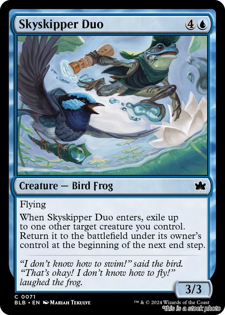 Skyskipper Duo