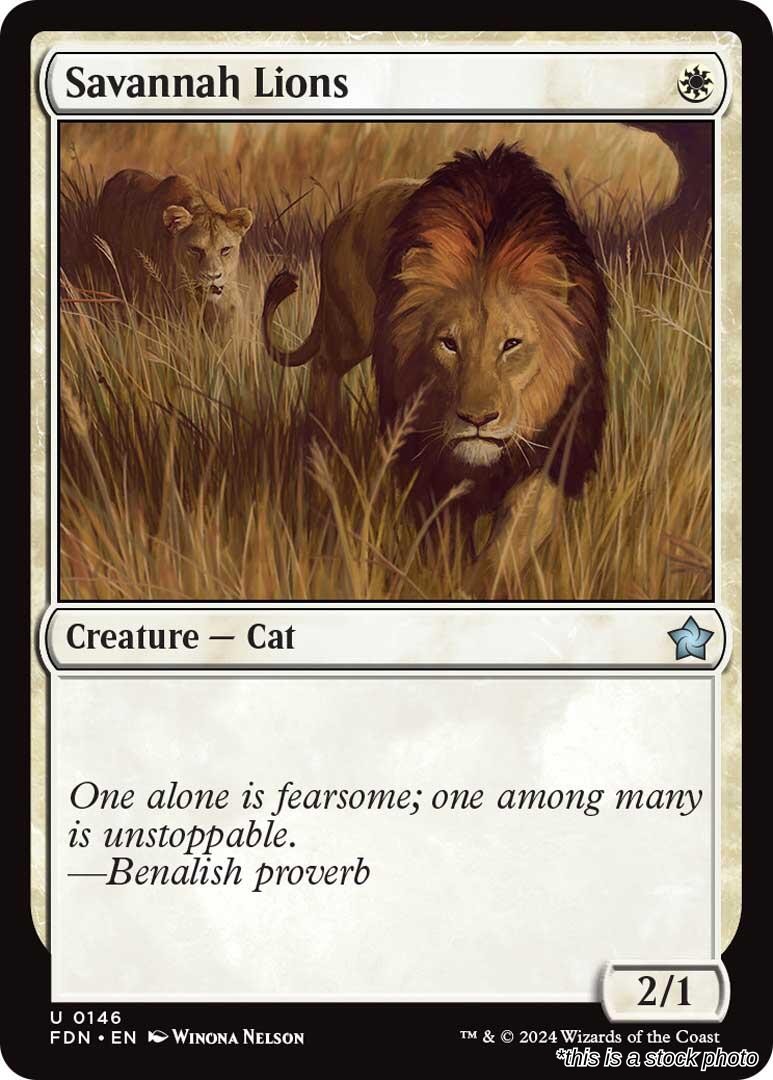 Savannah Lions