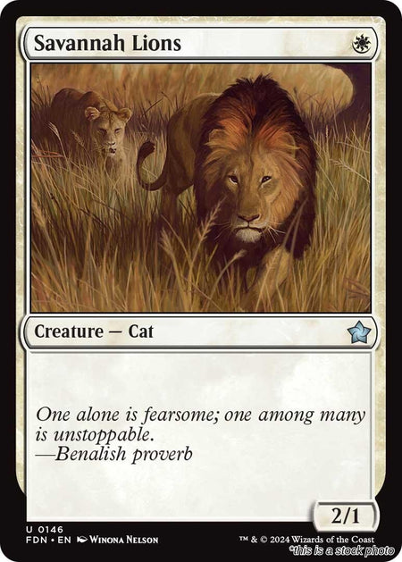Savannah Lions