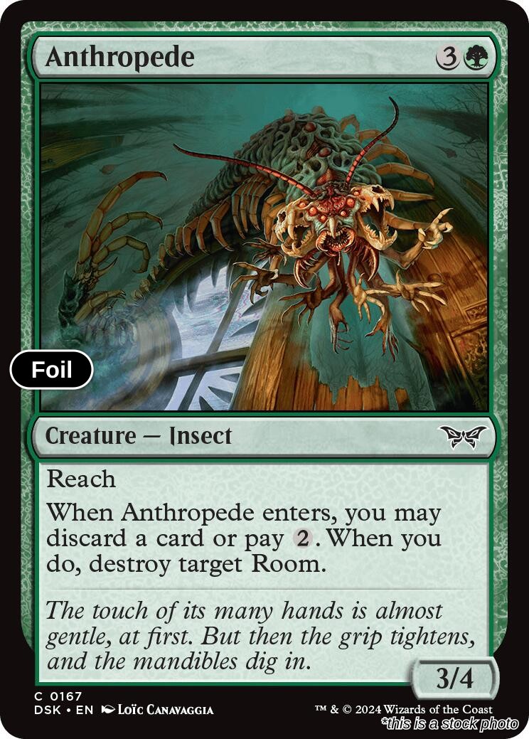 Anthropede